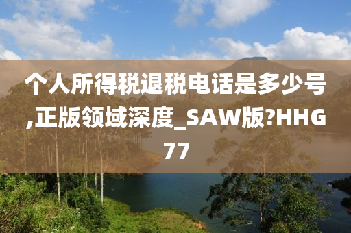 个人所得税退税电话是多少号,正版领域深度_SAW版?HHG77