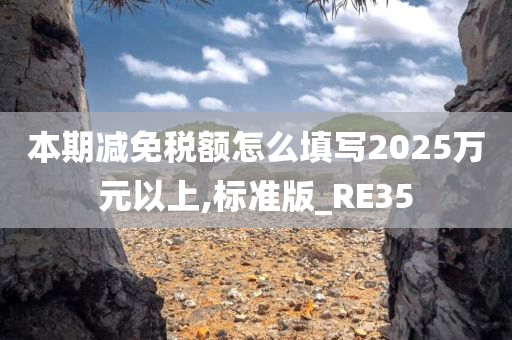 本期减免税额怎么填写2025万元以上,标准版_RE35