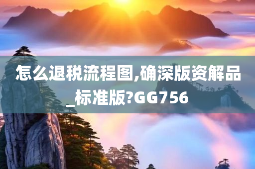 怎么退税流程图,确深版资解品_标准版?GG756