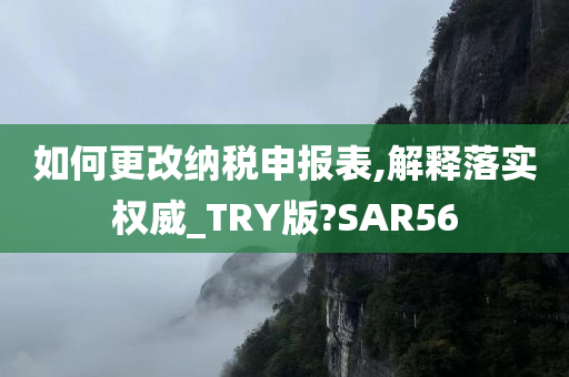 如何更改纳税申报表,解释落实权威_TRY版?SAR56