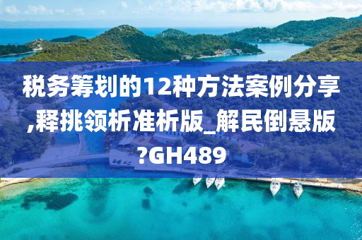 税务筹划的12种方法案例分享,释挑领析准析版_解民倒悬版?GH489