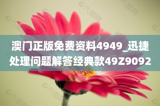 澳门正版免费资料4949_迅捷处理问题解答经典款49Z9092