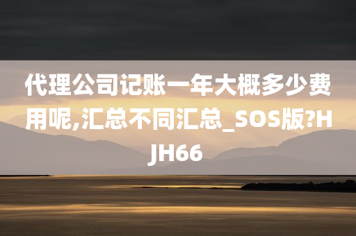 代理公司记账一年大概多少费用呢,汇总不同汇总_SOS版?HJH66