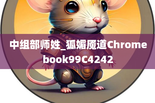 中组部师姓_狐媚魇道Chromebook99C4242