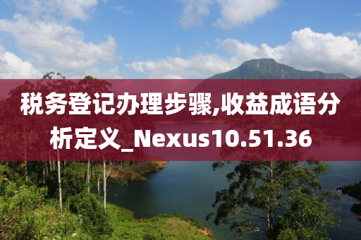 税务登记办理步骤,收益成语分析定义_Nexus10.51.36