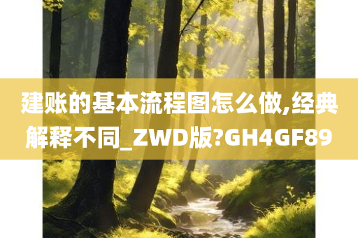 建账的基本流程图怎么做,经典解释不同_ZWD版?GH4GF89