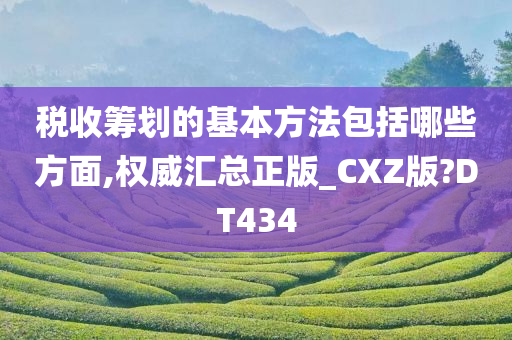 税收筹划的基本方法包括哪些方面,权威汇总正版_CXZ版?DT434