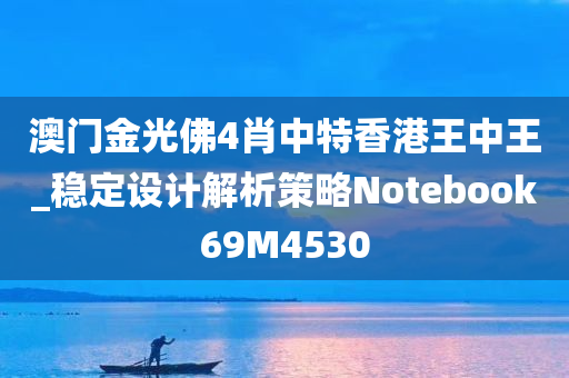 澳门金光佛4肖中特香港王中王_稳定设计解析策略Notebook69M4530