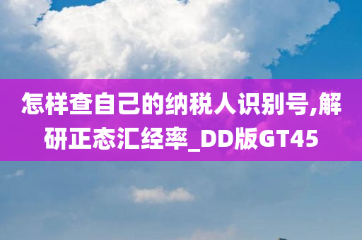 怎样查自己的纳税人识别号,解研正态汇经率_DD版GT45