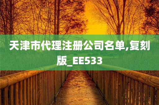 天津市代理注册公司名单,复刻版_EE533