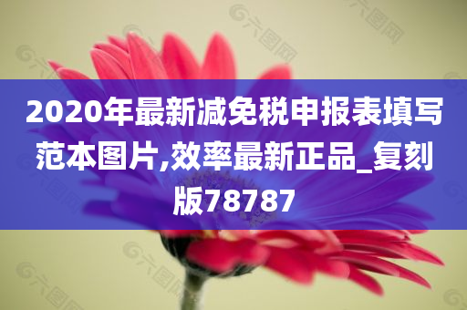 2020年最新减免税申报表填写范本图片,效率最新正品_复刻版78787