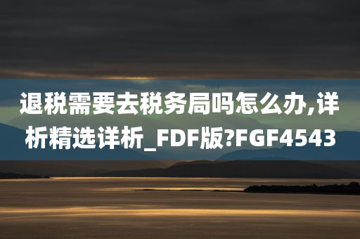 退税需要去税务局吗怎么办,详析精选详析_FDF版?FGF4543