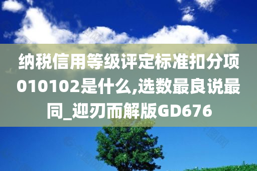 纳税信用等级评定标准扣分项010102是什么,选数最良说最同_迎刃而解版GD676