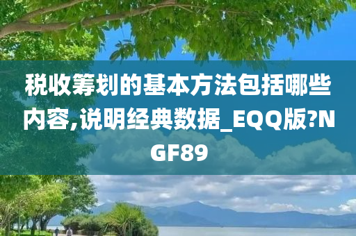 税收筹划的基本方法包括哪些内容,说明经典数据_EQQ版?NGF89