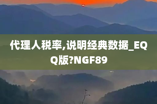 代理人税率,说明经典数据_EQQ版?NGF89