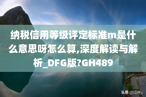 纳税信用等级评定标准m是什么意思呀怎么算,深度解读与解析_DFG版?GH489