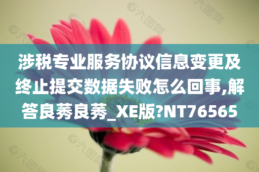 涉税专业服务协议信息变更及终止提交数据失败怎么回事,解答良莠良莠_XE版?NT76565