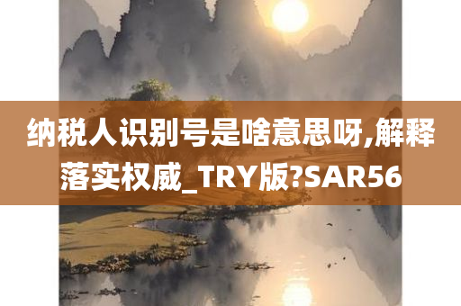 纳税人识别号是啥意思呀,解释落实权威_TRY版?SAR56