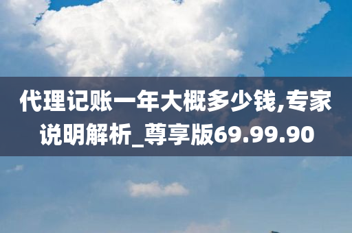 代理记账一年大概多少钱,专家说明解析_尊享版69.99.90