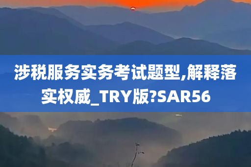 涉税服务实务考试题型,解释落实权威_TRY版?SAR56