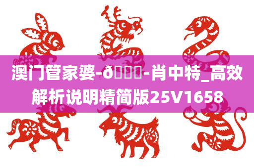 澳门管家婆-🐎-肖中特_高效解析说明精简版25V1658