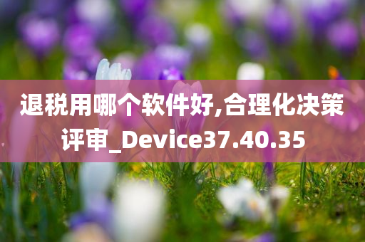 退税用哪个软件好,合理化决策评审_Device37.40.35