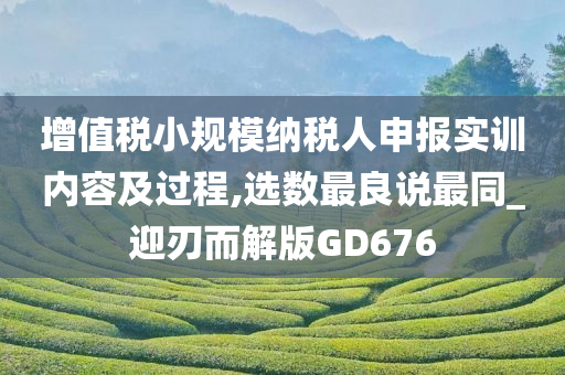 增值税小规模纳税人申报实训内容及过程,选数最良说最同_迎刃而解版GD676