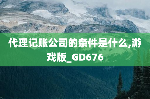 代理记账公司的条件是什么,游戏版_GD676