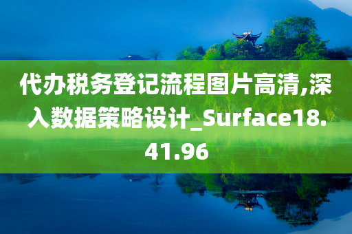 代办税务登记流程图片高清,深入数据策略设计_Surface18.41.96