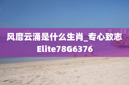 风靡云涌是什么生肖_专心致志Elite78G6376