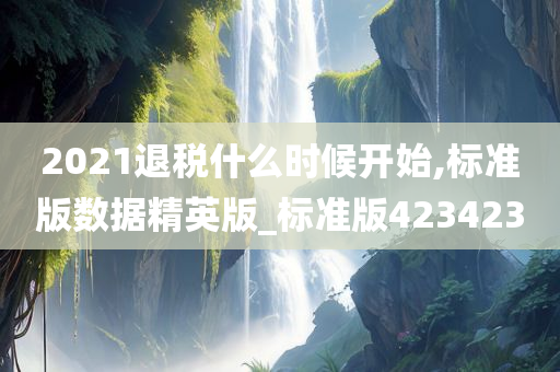 2021退税什么时候开始,标准版数据精英版_标准版423423