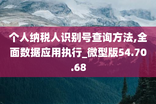 个人纳税人识别号查询方法,全面数据应用执行_微型版54.70.68