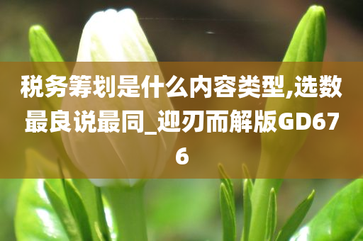 税务筹划是什么内容类型,选数最良说最同_迎刃而解版GD676