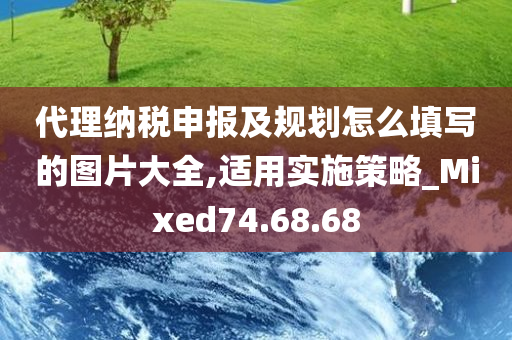 代理纳税申报及规划怎么填写的图片大全,适用实施策略_Mixed74.68.68