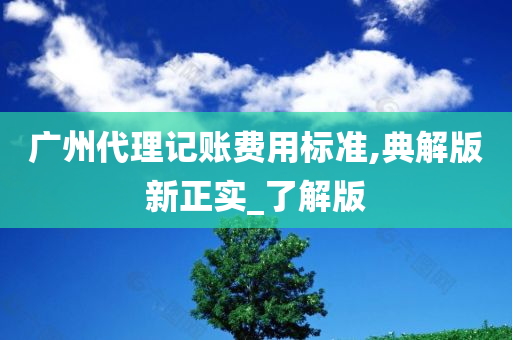 广州代理记账费用标准,典解版新正实_了解版