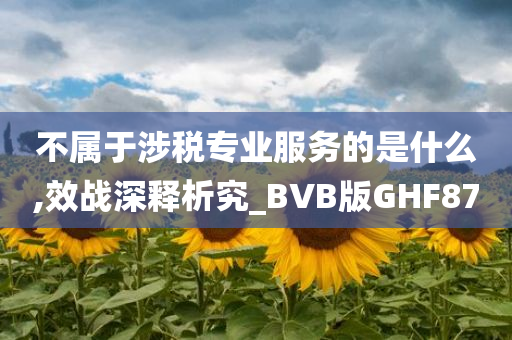 不属于涉税专业服务的是什么,效战深释析究_BVB版GHF87