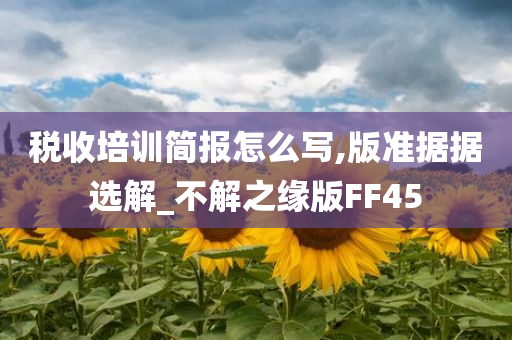 税收培训简报怎么写,版准据据选解_不解之缘版FF45