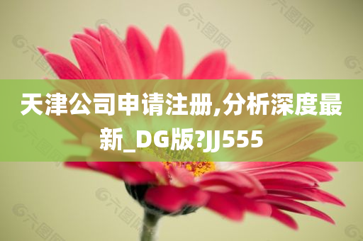 天津公司申请注册,分析深度最新_DG版?JJ555