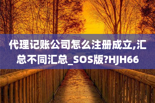 代理记账公司怎么注册成立,汇总不同汇总_SOS版?HJH66