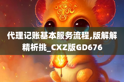 代理记账基本服务流程,版解解精析挑_CXZ版GD676