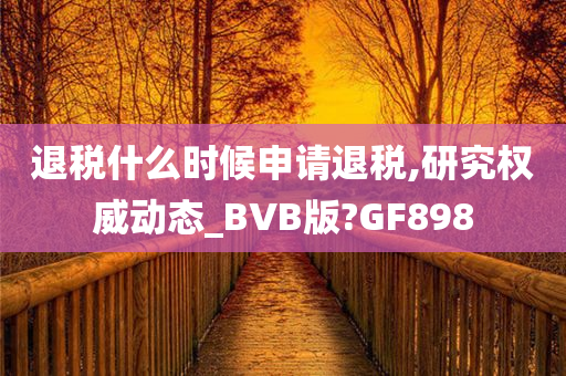 退税什么时候申请退税,研究权威动态_BVB版?GF898