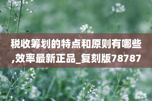 税收筹划的特点和原则有哪些,效率最新正品_复刻版78787