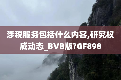 涉税服务包括什么内容,研究权威动态_BVB版?GF898