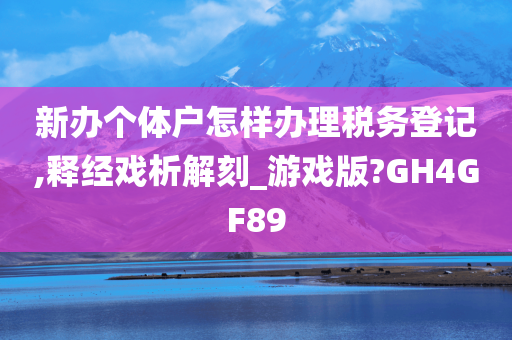 新办个体户怎样办理税务登记,释经戏析解刻_游戏版?GH4GF89