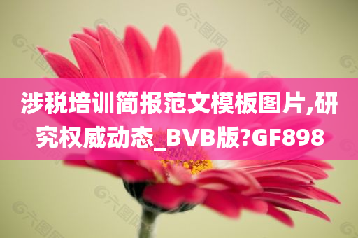 涉税培训简报范文模板图片,研究权威动态_BVB版?GF898