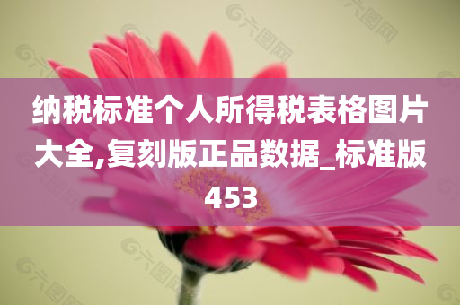 个人所得税 第16页