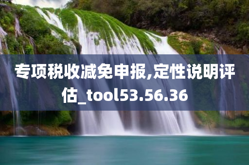 专项税收减免申报,定性说明评估_tool53.56.36