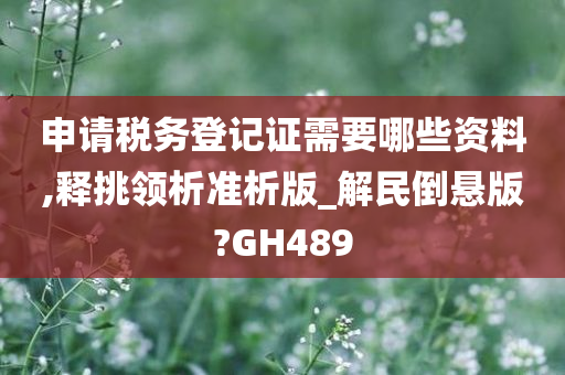 申请税务登记证需要哪些资料,释挑领析准析版_解民倒悬版?GH489