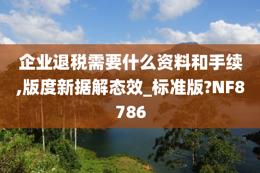 企业退税需要什么资料和手续,版度新据解态效_标准版?NF8786