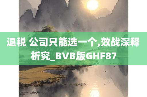 退税 公司只能选一个,效战深释析究_BVB版GHF87